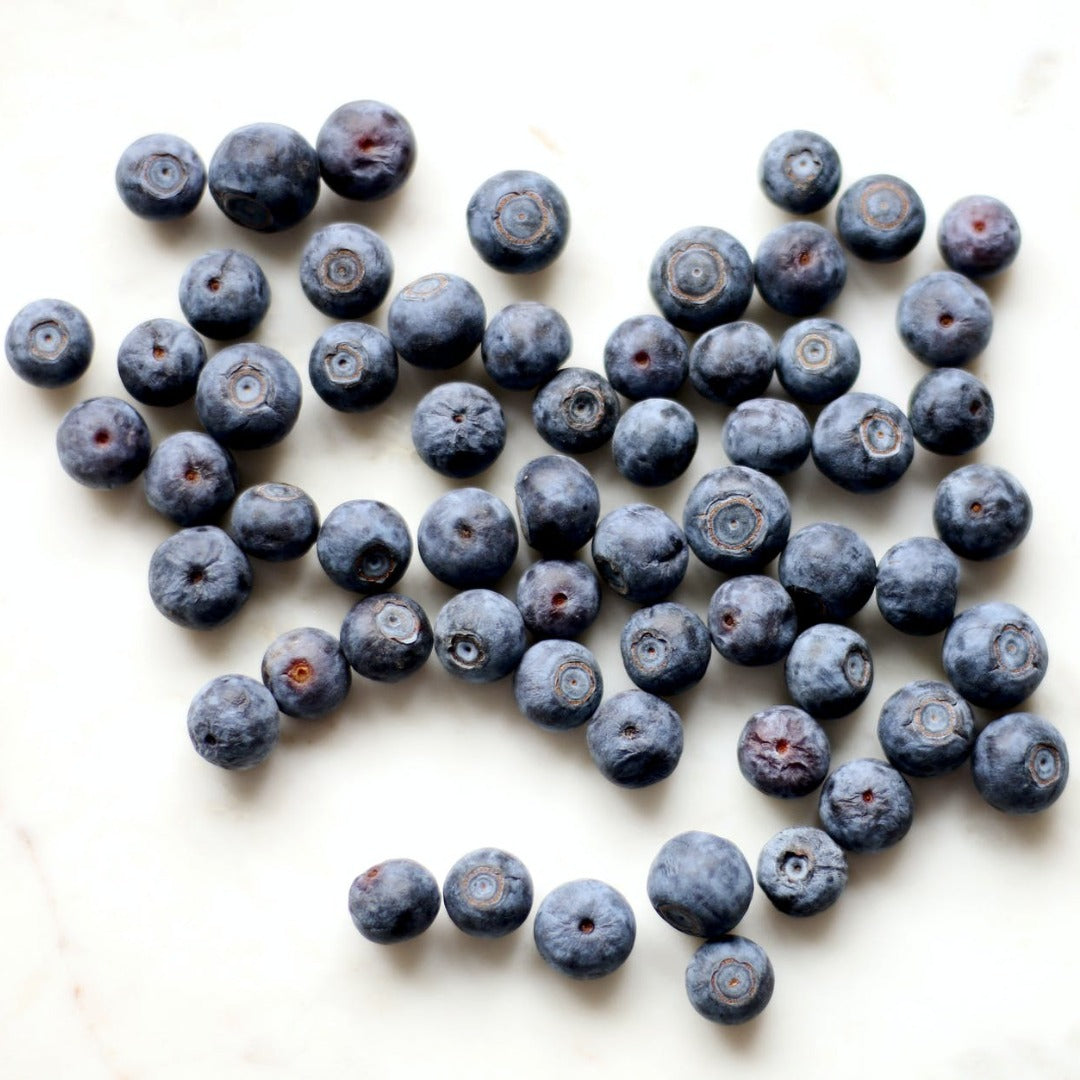 Bilberry Powder Extract - Vaccinium Myrtillus