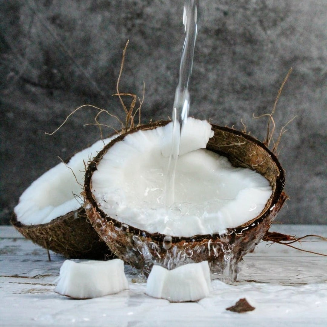 Coconut Water Liquid Extract - Cocos Nucifera
