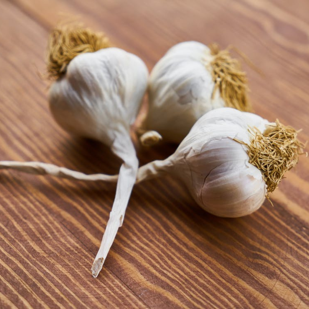 Garlic Essential Oil
