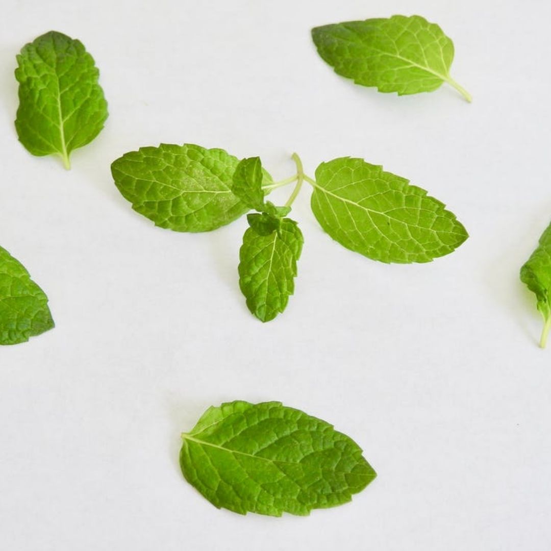 Peppermint Arvensis Essential Oil