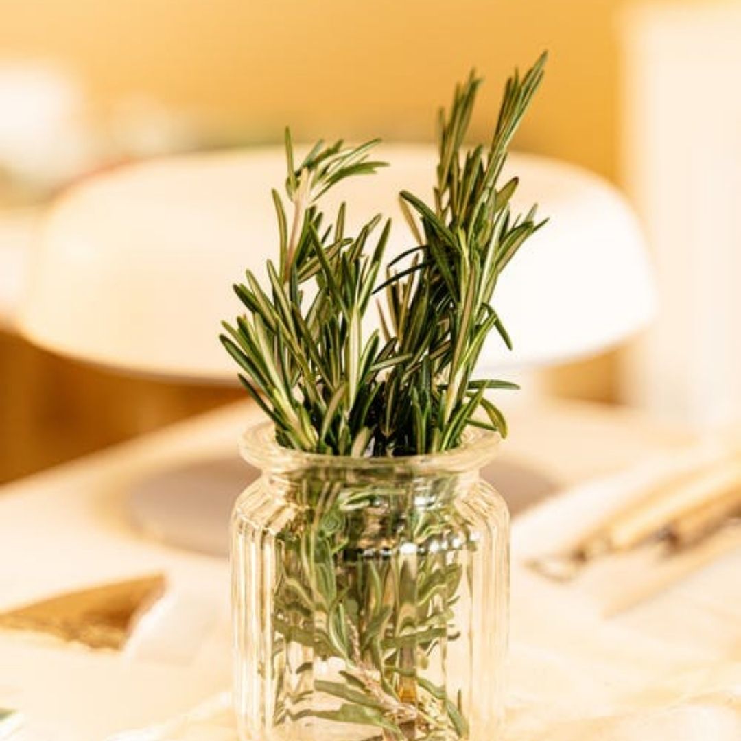 Rosemary Essential Oil - Spanish Type