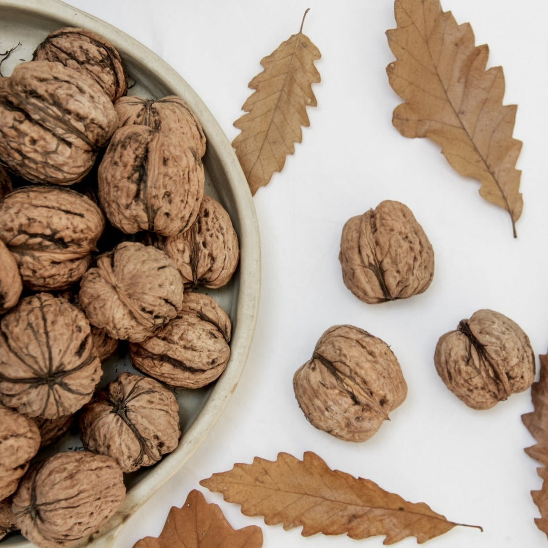 Walnut Powder Extract - Juglans Regria