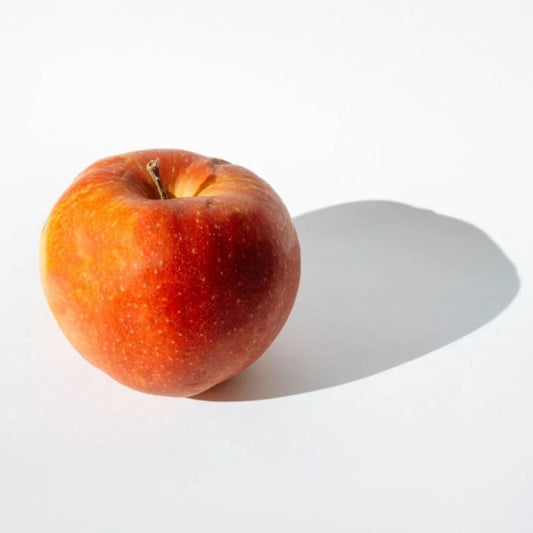 Apple Liquid Extract - Pyrus Malus