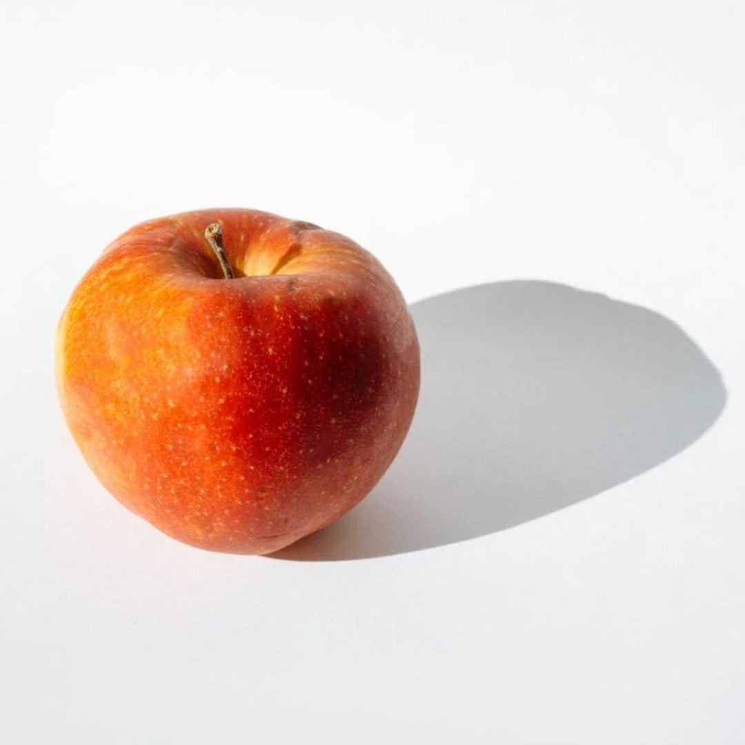 Apple Powder - Pyrus Malus
