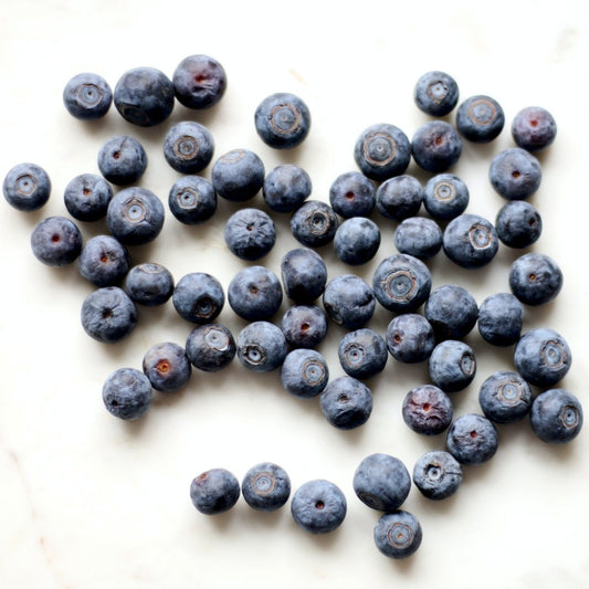 Bilberry Powder Extract - Vaccinium Myrtillus