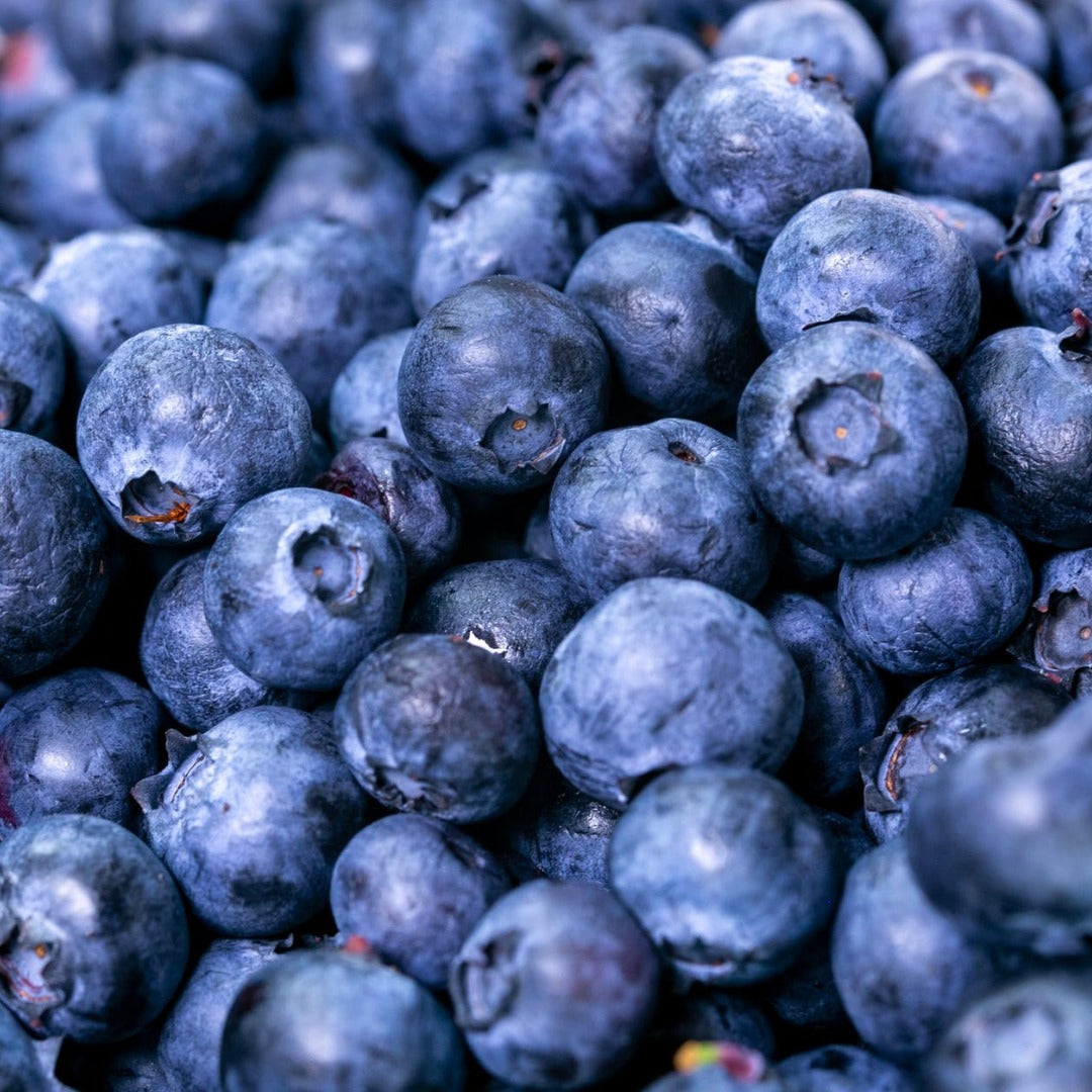 Blueberry Liquid Extract - Vaccinium Angustifolium