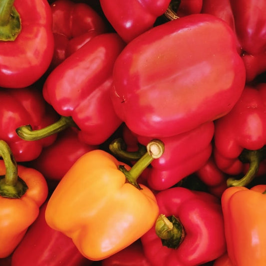 Capsicum Extract - Fruit & Herbal Powder