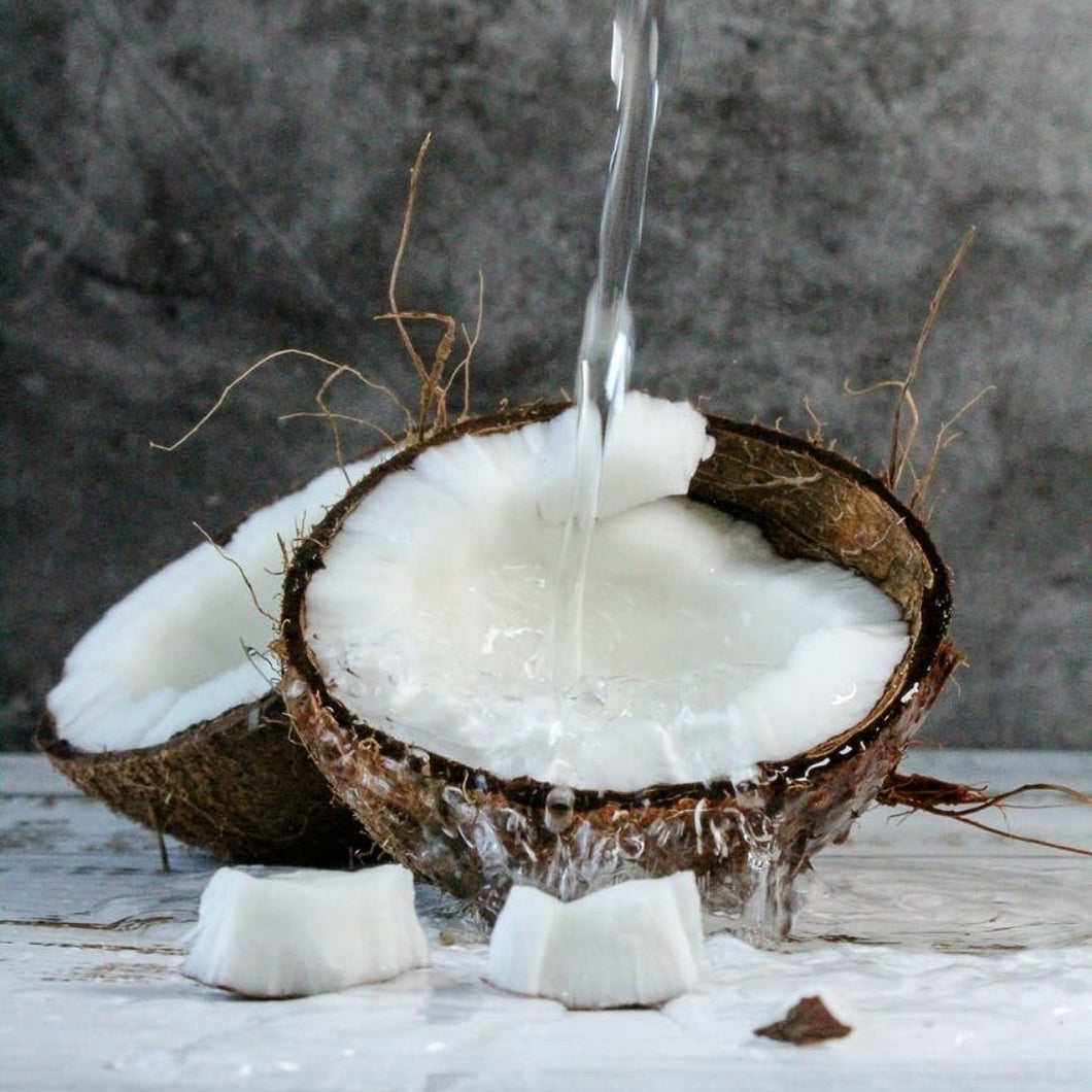 Coconut Water Powder Extracts - Cocos Nucifera