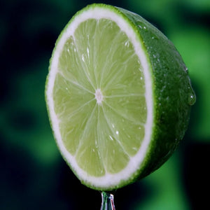 Desert Lime Liquid Extract - Citrus Glauca