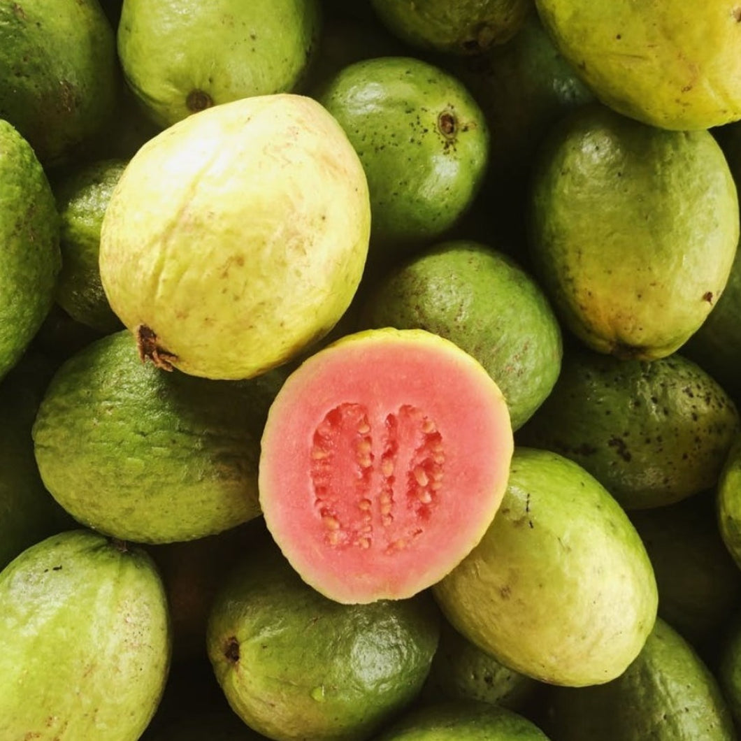 Guava Red Powder Extract - Psidium Guajava