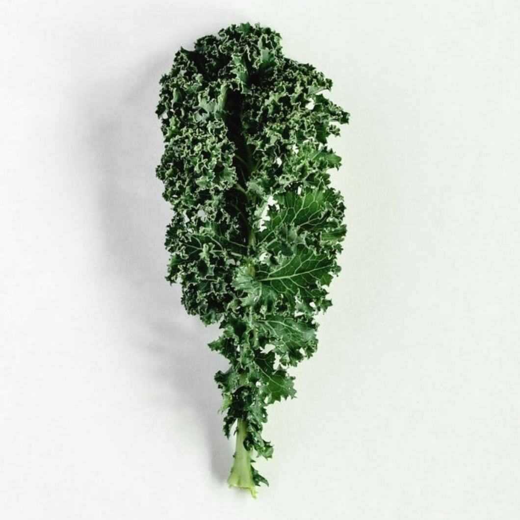 Kale Liquid Extract - Brassica Oleracea Acephala
