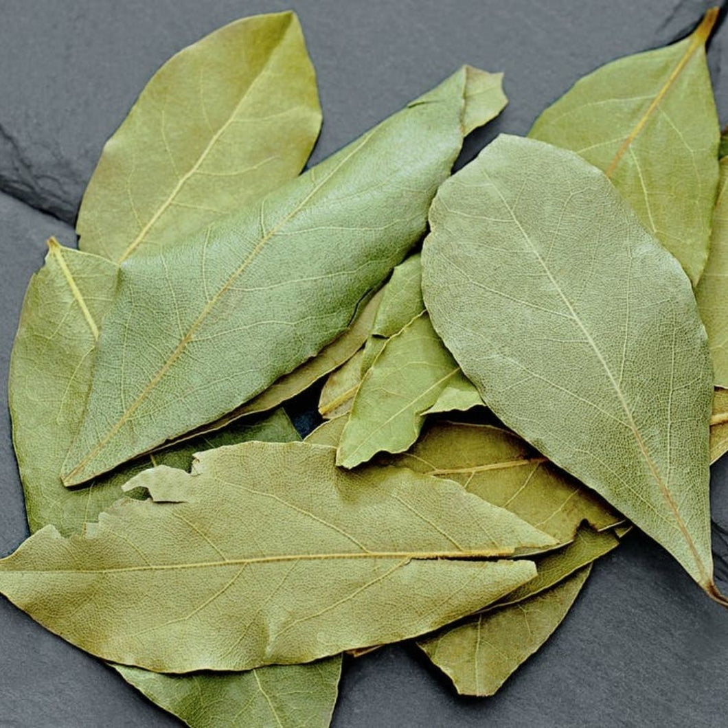 Laurel Leaf Essential Oils