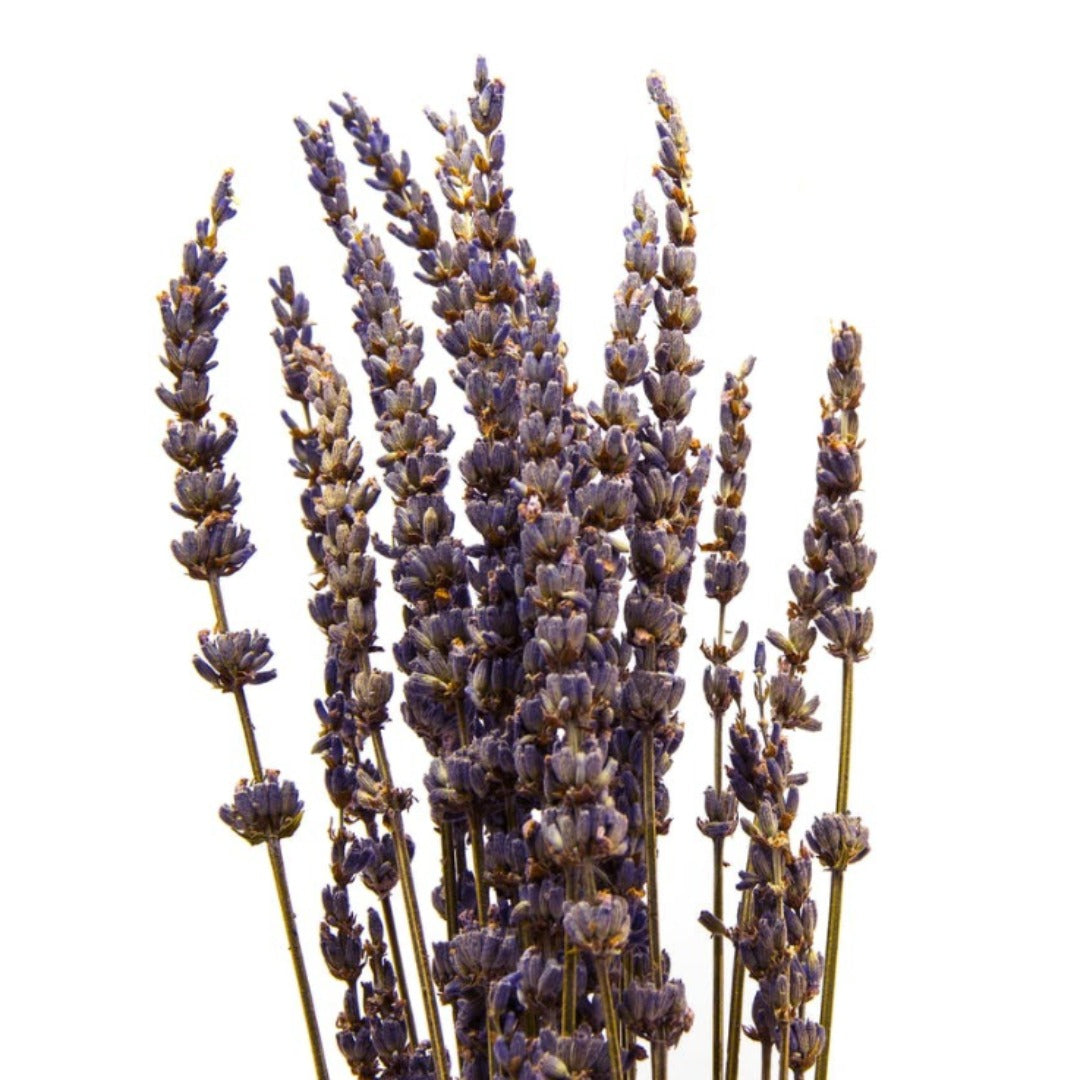 Lavender Bulgarian Essential Oil