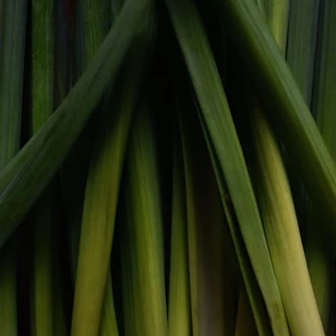 Lemongrass Cochin Essential Oil