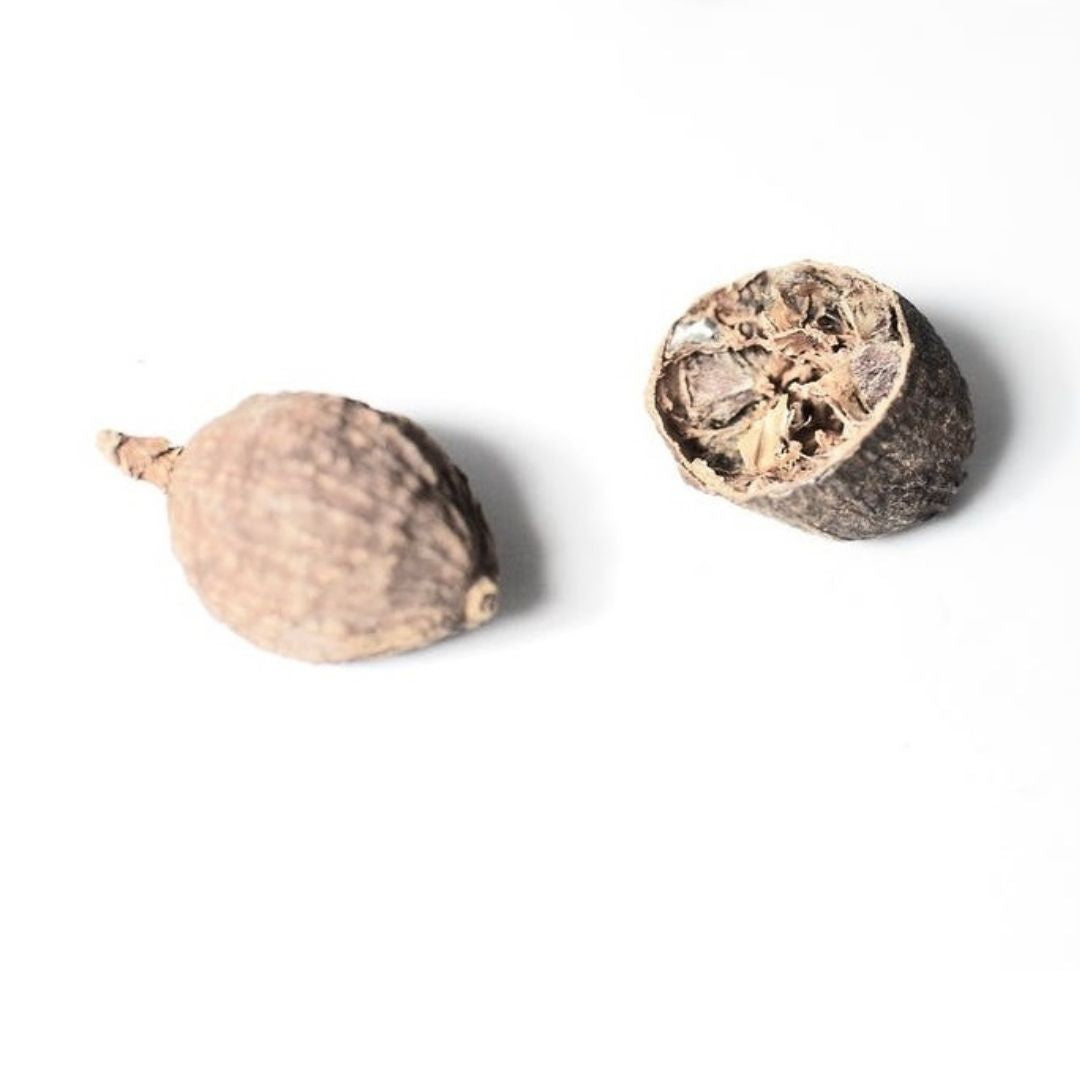 Nutmeg Essential Oil