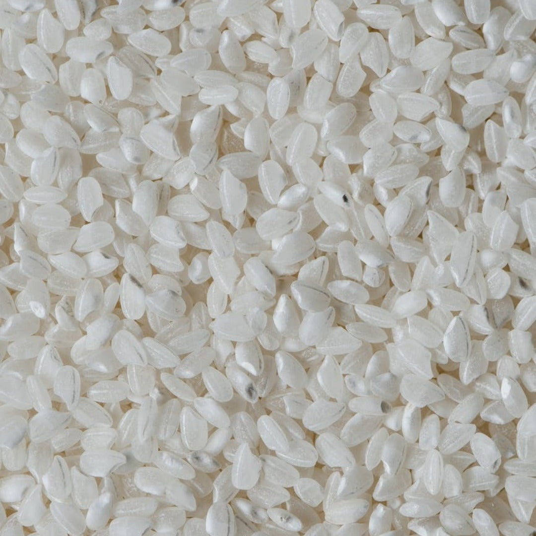Rice Protein Liquid Extract - Hydrolyzed Rice