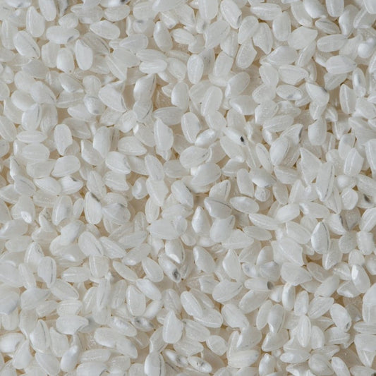 Rice Protein Liquid Extract - Hydrolyzed Rice