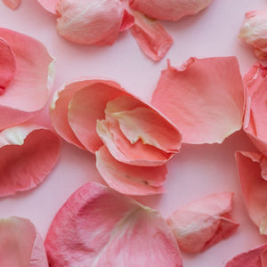 Rose Petals Powder Extract - Rosa Centifolia
