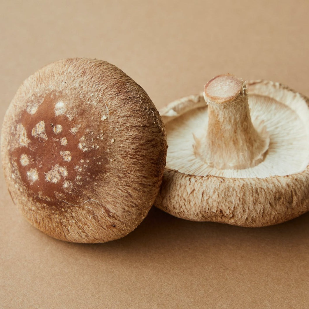 Shiitake Mushroom Powder Extract - Lentinus Edodes