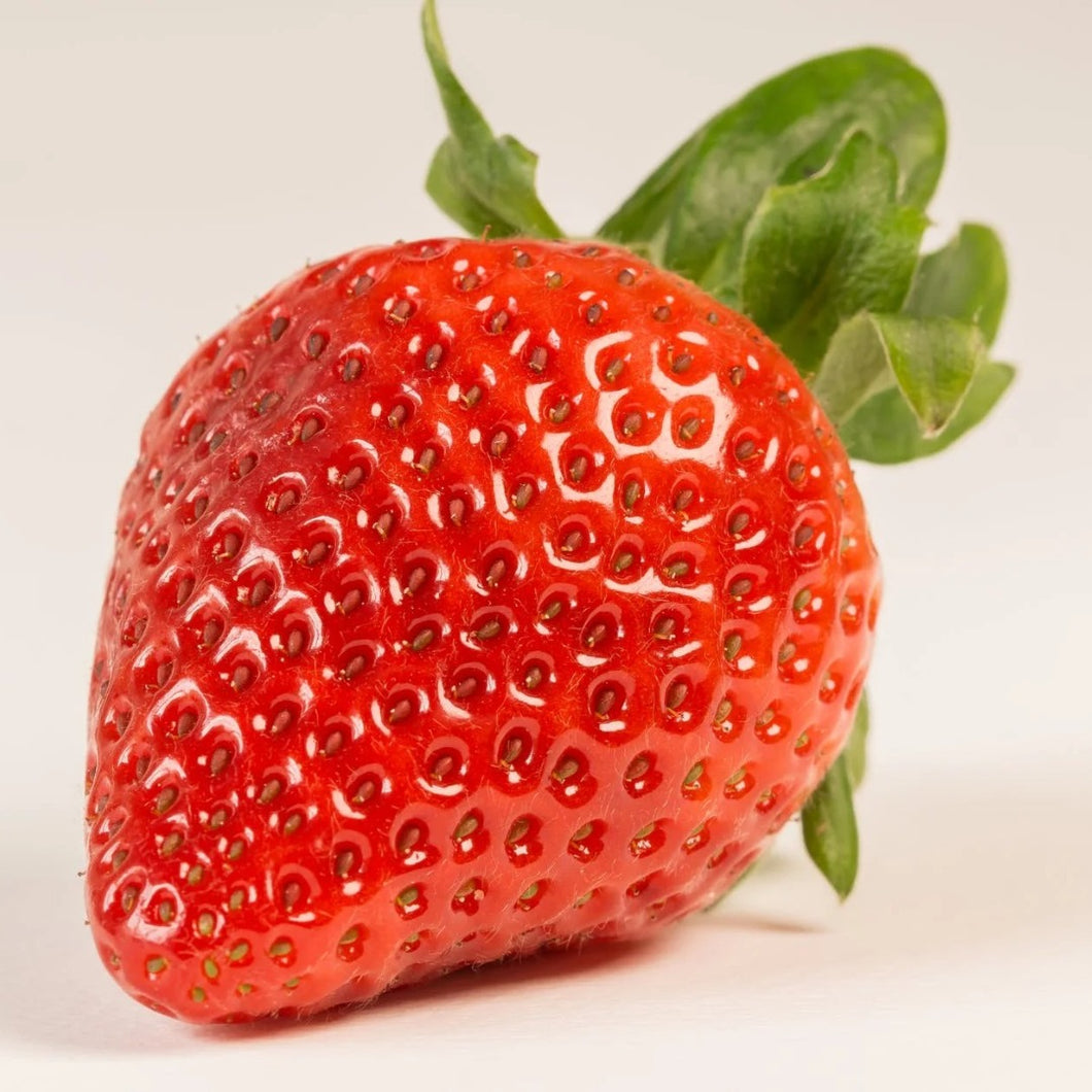 Strawberry Liquid Extract - Fragaria Ananassa