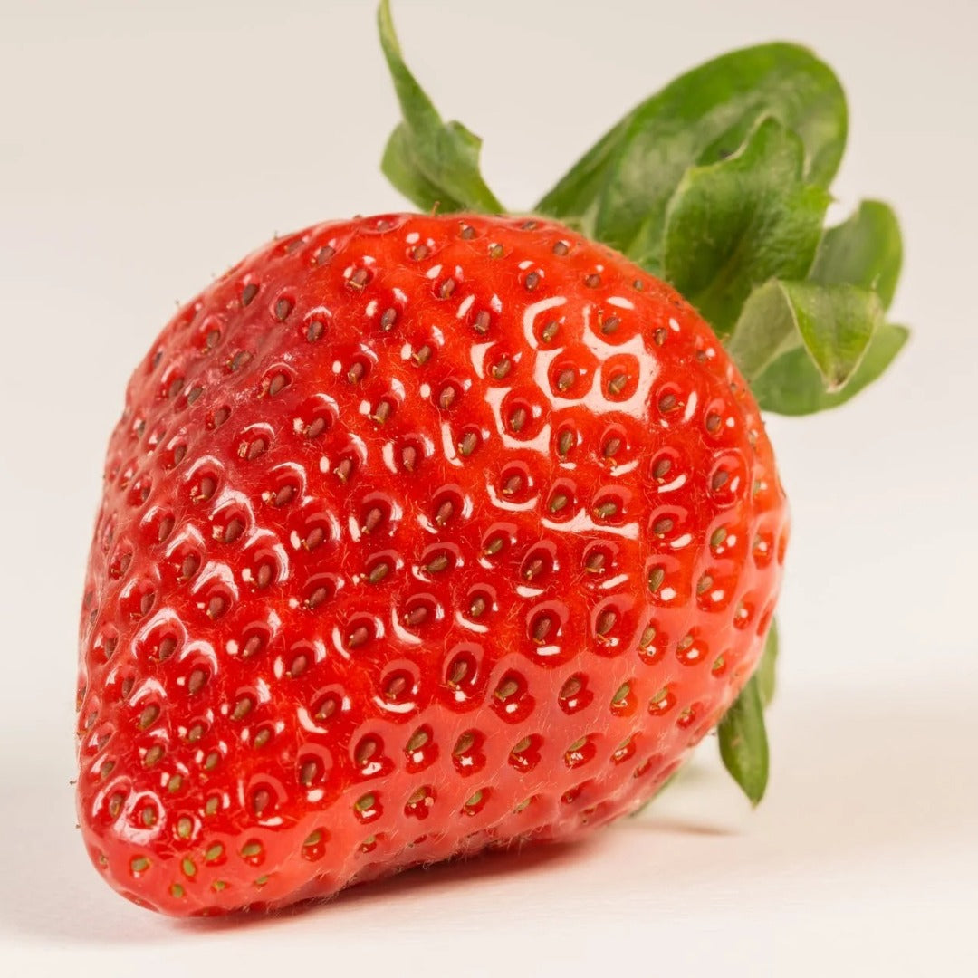 Strawberry Powder Extract - Fragaria Ananassa